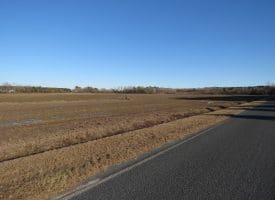 75+/- Acres of Farmland For Sale in Bladen County NC!