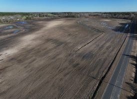 75+/- Acres of Farmland For Sale in Bladen County NC!