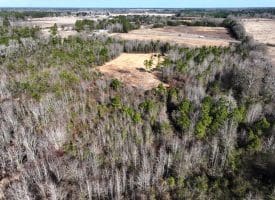 23+/- Acres of Hunting and Residential Land For Sale in Robeson County NC!