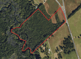 23+/- Acres of Hunting and Residential Land For Sale in Robeson County NC!