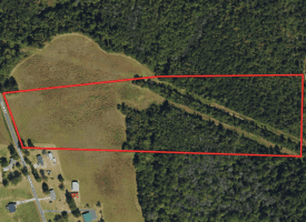 24+/- Acres of Residential and Hunting Land For Sale in Robeson County NC!