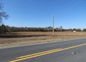 23+/- Acres of Hunting and Residential Land For Sale in Robeson County NC!