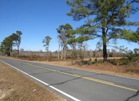 29+/- Acres of Residential and Hunting Land For Sale in Robeson County NC!