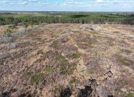113+/- Acres of Timber Investment Land For Sale in Robeson County NC!