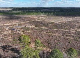 113+/- Acres of Timber Investment Land For Sale in Robeson County NC!