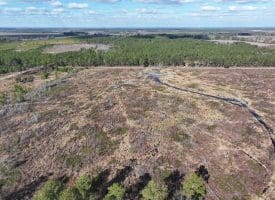 113+/- Acres of Timber Investment Land For Sale in Robeson County NC!