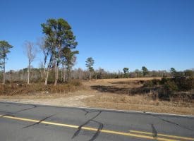 29+/- Acres of Residential and Hunting Land For Sale in Robeson County NC!