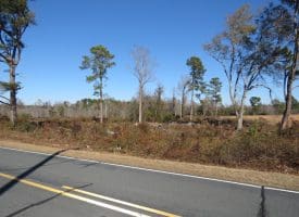 29+/- Acres of Residential and Hunting Land For Sale in Robeson County NC!