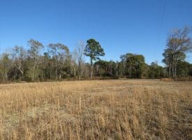 29+/- Acres of Residential and Hunting Land For Sale in Robeson County NC!