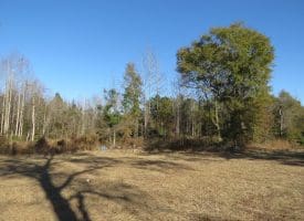 29+/- Acres of Residential and Hunting Land For Sale in Robeson County NC!