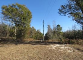 24+/- Acres of Residential and Hunting Land For Sale in Robeson County NC!