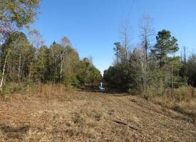 24+/- Acres of Residential and Hunting Land For Sale in Robeson County NC!