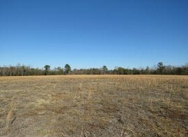 29+/- Acres of Residential and Hunting Land For Sale in Robeson County NC!