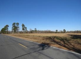 24+/- Acres of Residential and Hunting Land For Sale in Robeson County NC!