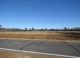 24+/- Acres of Residential and Hunting Land For Sale in Robeson County NC!