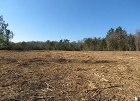 23+/- Acres of Hunting and Residential Land For Sale in Robeson County NC!
