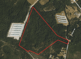 81+/- Acres of Hunting and Timber Land For Sale In Sampson County, NC