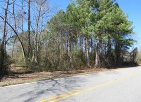81+/- Acres of Hunting and Timber Land For Sale In Sampson County, NC