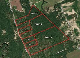 15+/- Acres of Residential or Agricultural Land for Sale in Robeson County, NC