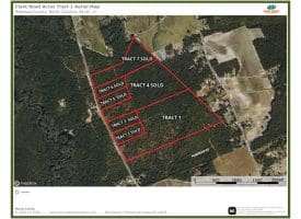 46+/- Acres of Residential and Hunting Land For Sale in Robeson County NC