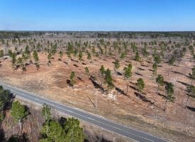 46+/- Acres of Residential and Hunting Land For Sale in Robeson County NC