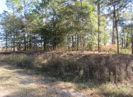 7+/- Acre Residential Lot in Robeson County NC