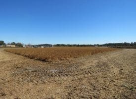 7+/- Acre Residential Lot in Robeson County NC