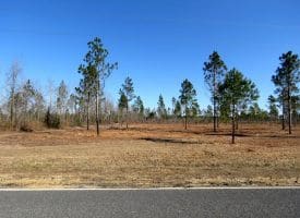 46+/- Acres of Residential and Hunting Land For Sale in Robeson County NC