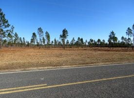 5+/- Acres of Residential or Recreational Land in Robeson County NC