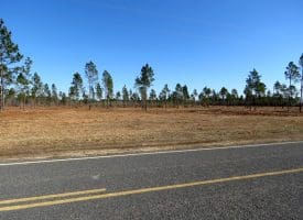 6+/- Acres of Residential or Agricultural Land For Sale in Robeson County NC