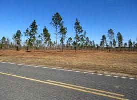 46+/- Acres of Residential and Hunting Land For Sale in Robeson County NC