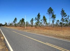 5+/- Acres of Residential or Recreational Land in Robeson County NC