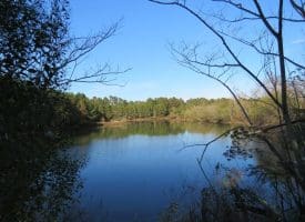 103+/- Acre Farm in Robeson County NC