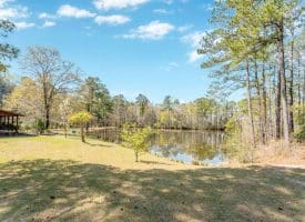 63 +/- Acre Country Estate For Sale in Dillon County SC!