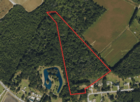 12.8+/- Antioch Rd Recreational Land In Robeson County NC