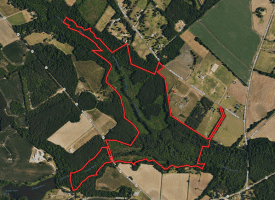 122+/- Acres of Hunting and Timberland In Robeson County, NC