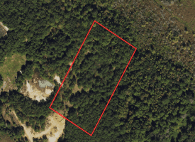 5+/- Acres of Hunting Land for Sale in Robeson County NC