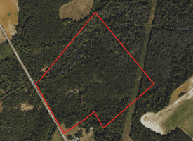 57 +/- Acres of Hunting Land For Sale in Robeson County NC