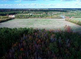 103+/- Acre Farm in Robeson County NC