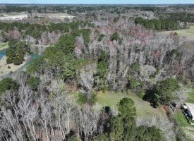 12.8+/- Antioch Rd Recreational Land In Robeson County NC