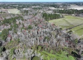 12.8+/- Antioch Rd Recreational Land In Robeson County NC
