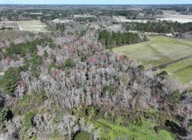 12.8+/- Antioch Rd Homesite In Robeson County NC