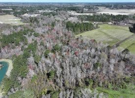 12.8+/- Antioch Rd Recreational Land In Robeson County NC