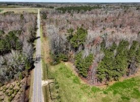 57 +/- Acres of Hunting Land For Sale in Robeson County NC