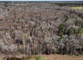 57 +/- Acres of Hunting Land For Sale in Robeson County NC