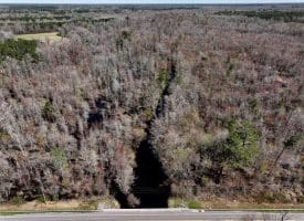 57 +/- Acres of Hunting Land For Sale in Robeson County NC