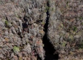 57 +/- Acres of Hunting Land For Sale in Robeson County NC