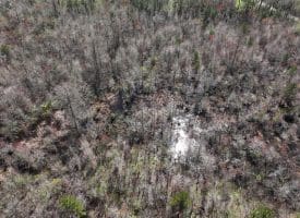 57 +/- Acres of Hunting Land For Sale in Robeson County NC