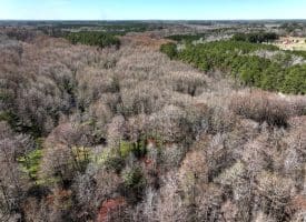 122+/- Acres of Hunting and Timberland In Robeson County, NC