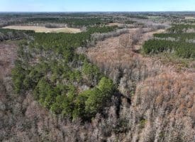 122+/- Acres of Hunting and Timberland In Robeson County, NC